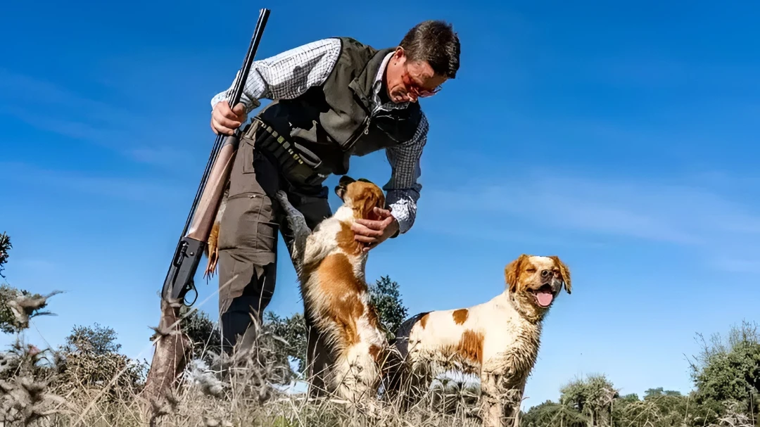 What you need to hunt in Spain – licenses, firearm permits and planning