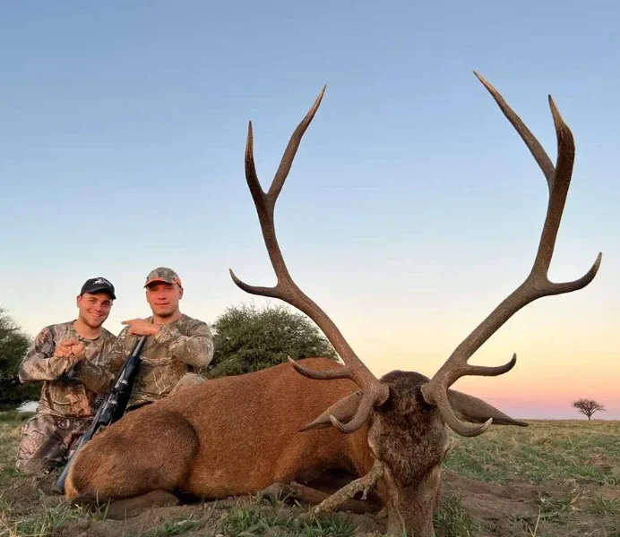 Red stag hunting in Spain - deer hunting in spain