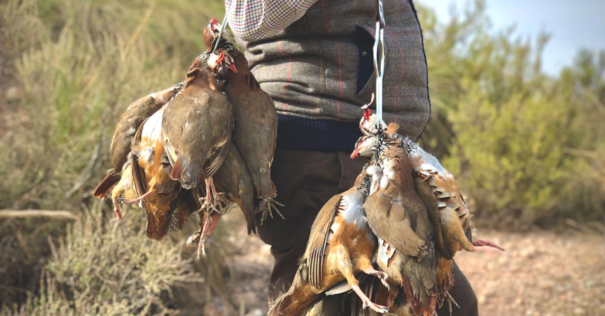 Spanish countryside perfect for ojeo style partridge hunting with stunning landscapes and open terrain