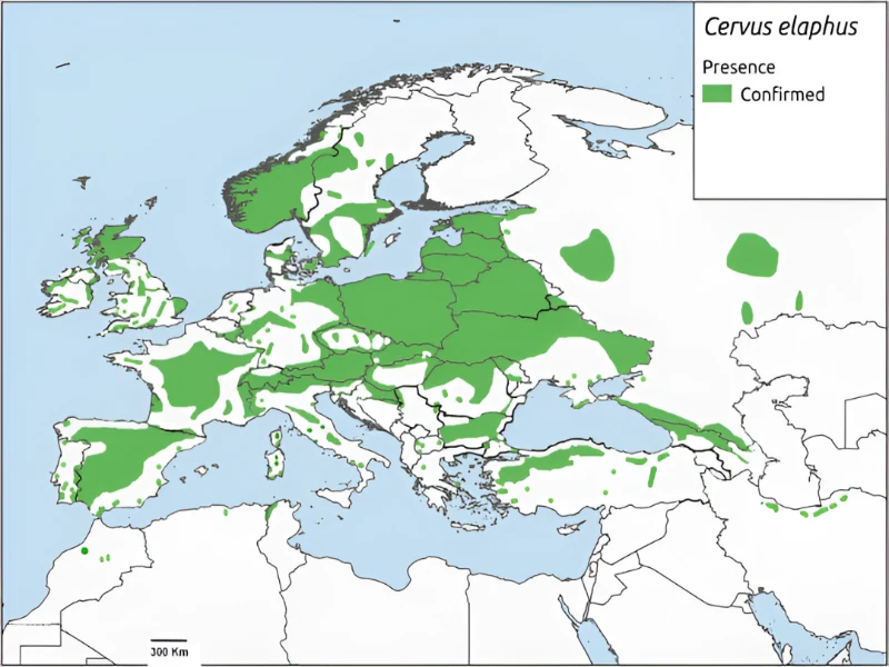 Map of red deer distribution across Europe