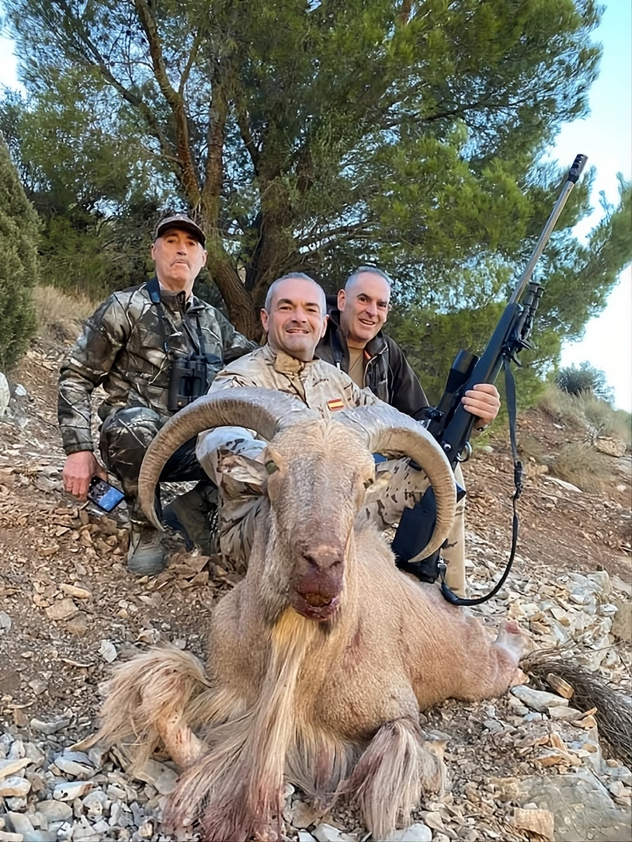 Barbary sheep stalking in rocky mountains Spain