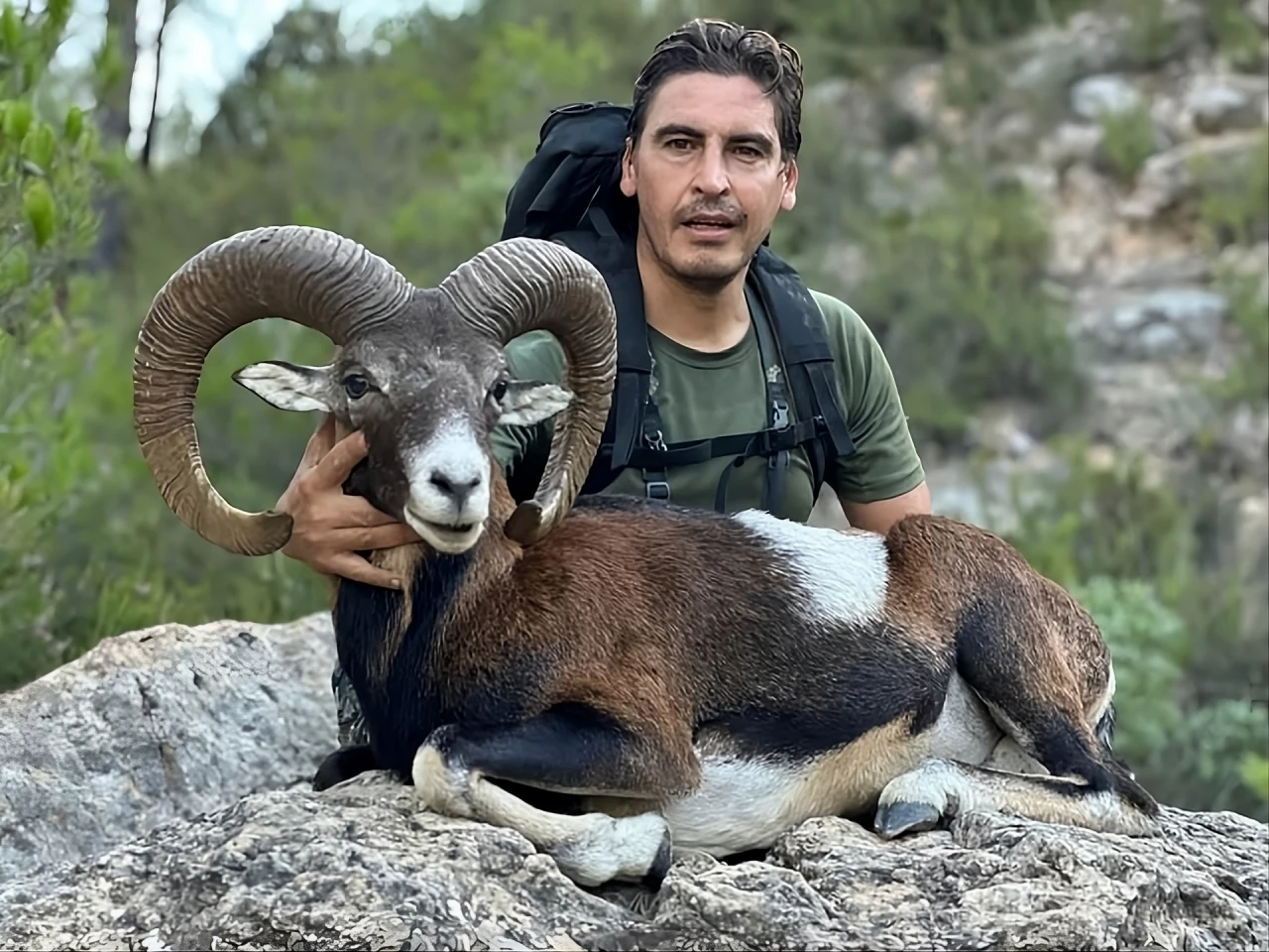 big game hunting in spain