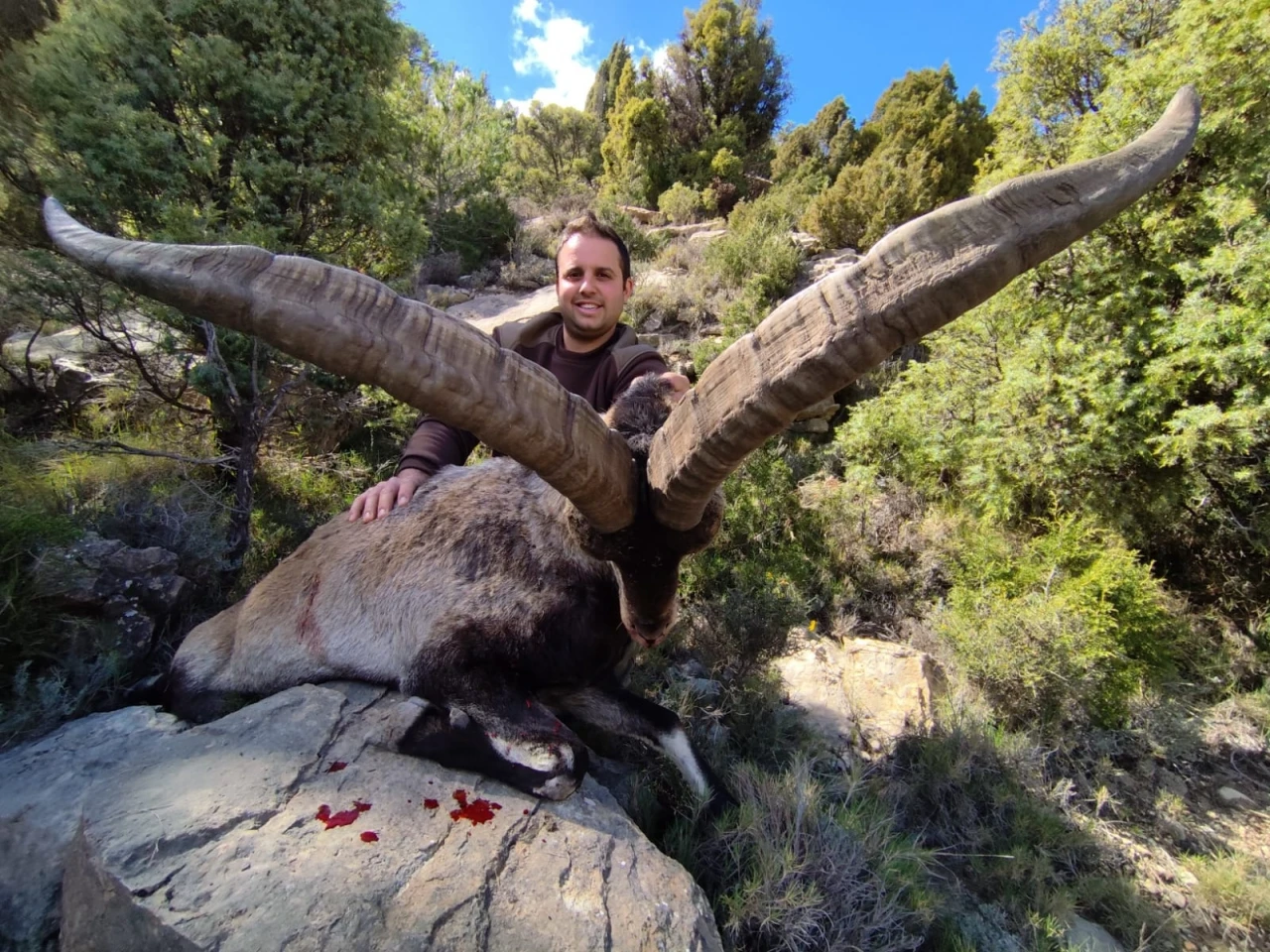Ibex hunting in Spain - mountain stalking