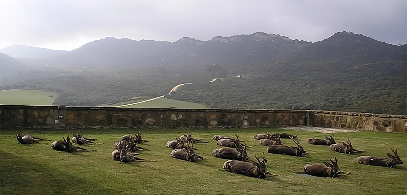 big game hunting in spain