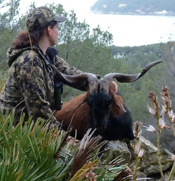 Balearic goat boc hunting in Spain - trophy with curved horns